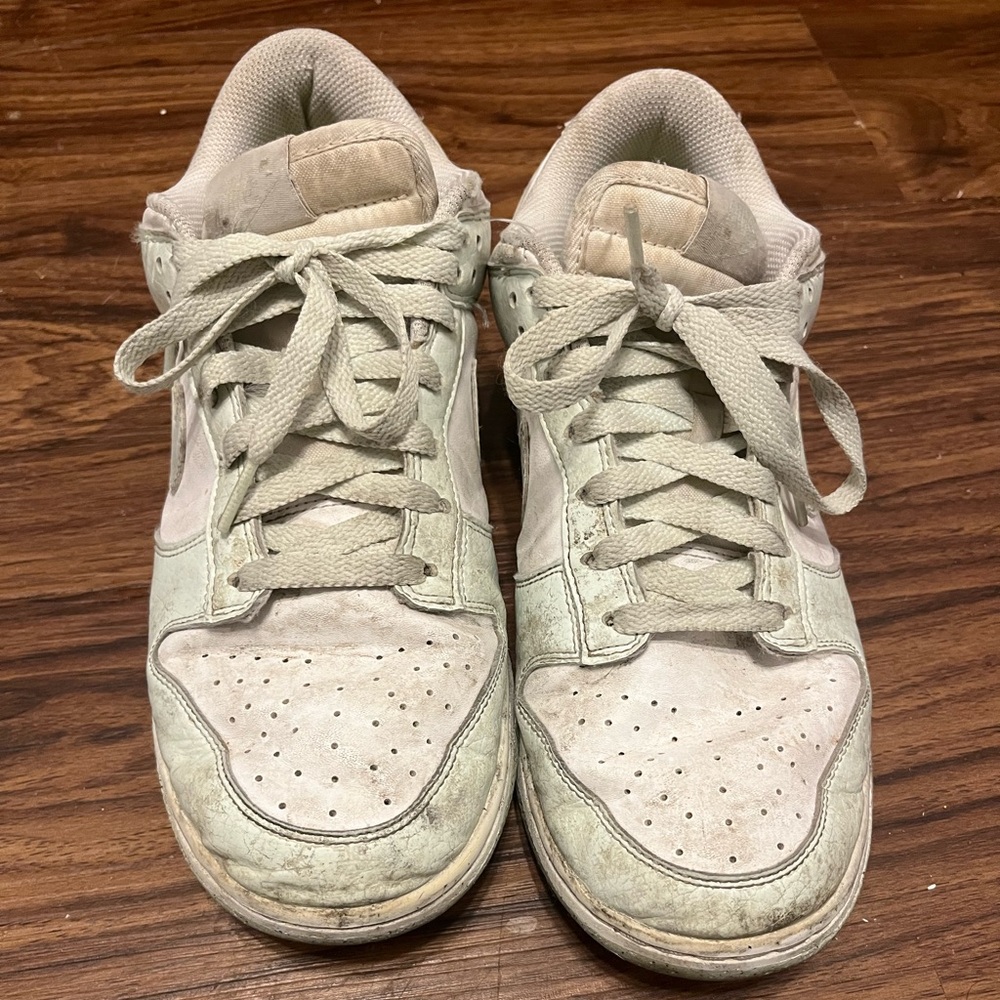Nike Dunks